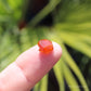 Spessartine Garnet Natural Crystal Gem