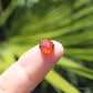 Spessartine Garnet Natural Crystal Gem