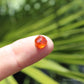 Spessartine Garnet Natural Crystal Gem