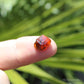 Spessartine Garnet Natural Crystal Gem