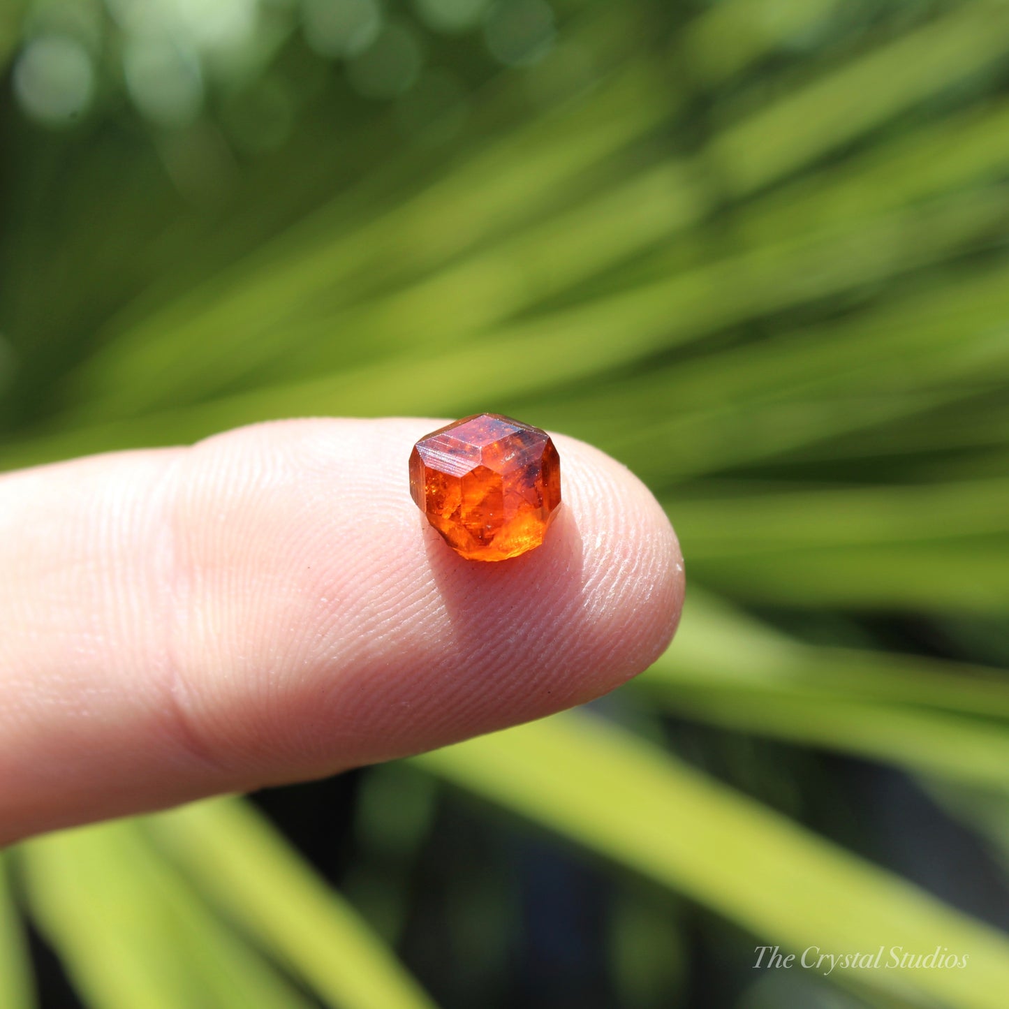 Spessartine Garnet Natural Crystal Gem