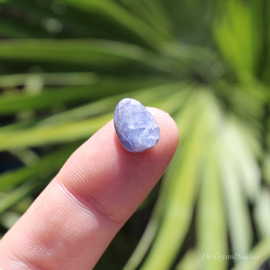 Tanzanite Mini Polished Crystal Tumblestone