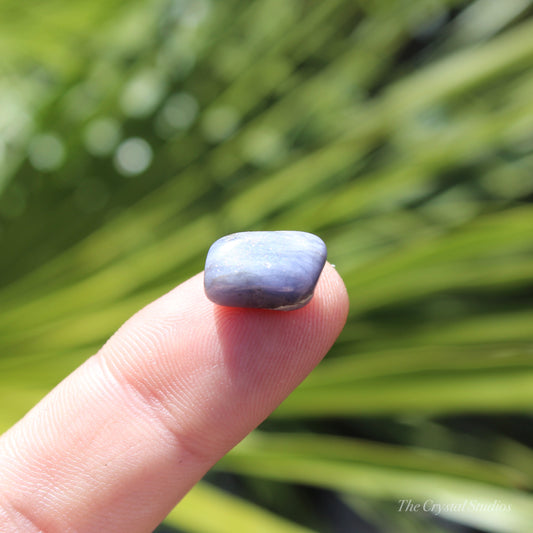 Tanzanite Mini Polished Crystal Tumblestone