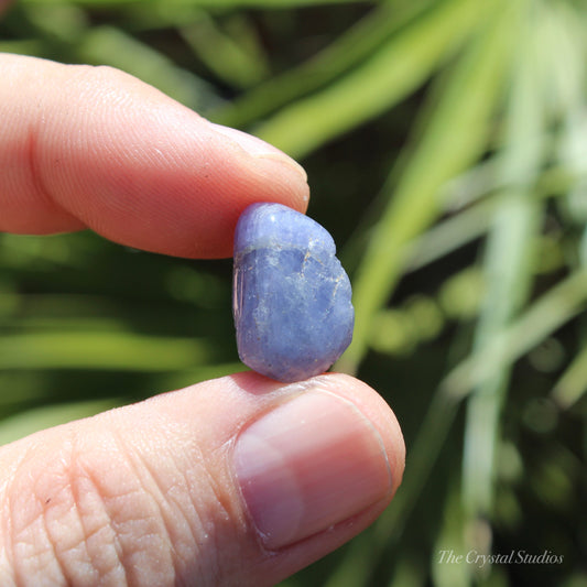 Tanzanite Medium Polished Crystal Tumblestone