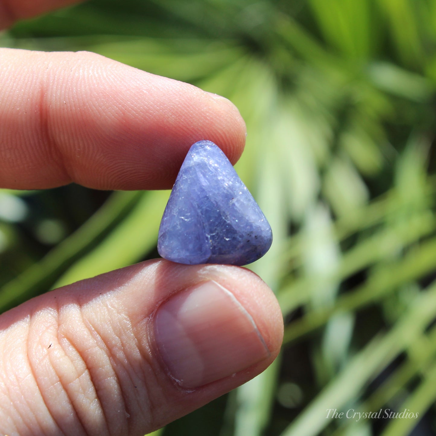 Tanzanite Medium Polished Crystal Tumblestone