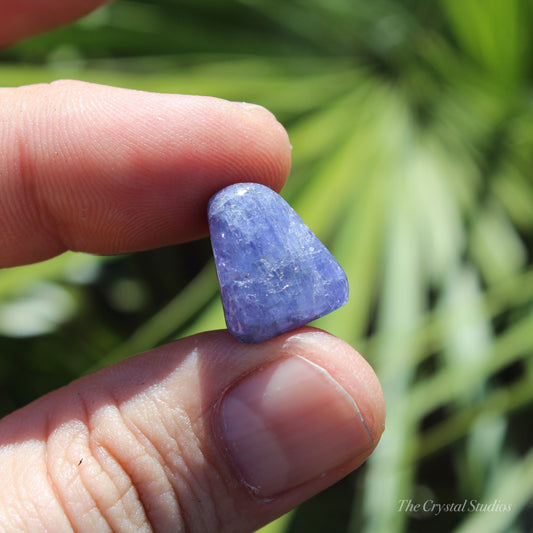 Tanzanite Medium Polished Crystal Tumblestone