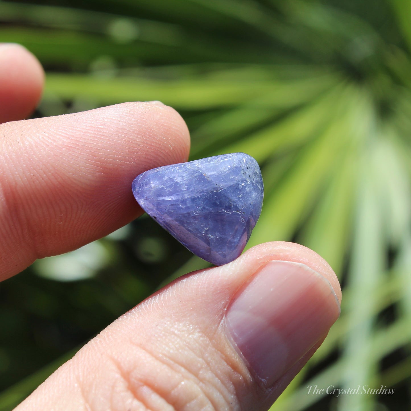 Tanzanite Medium Polished Crystal Tumblestone