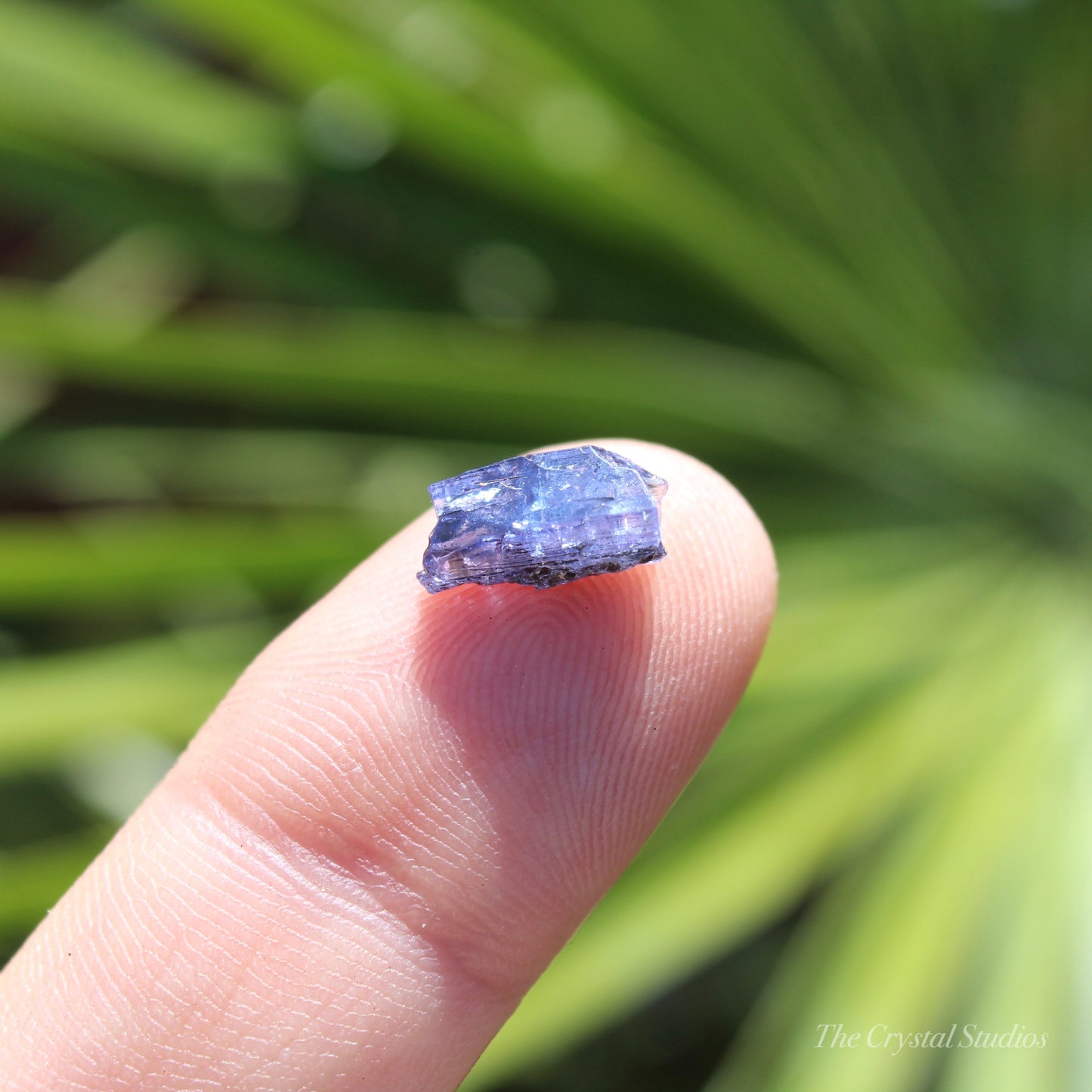 Tanzanite Natural Crystal Specimen