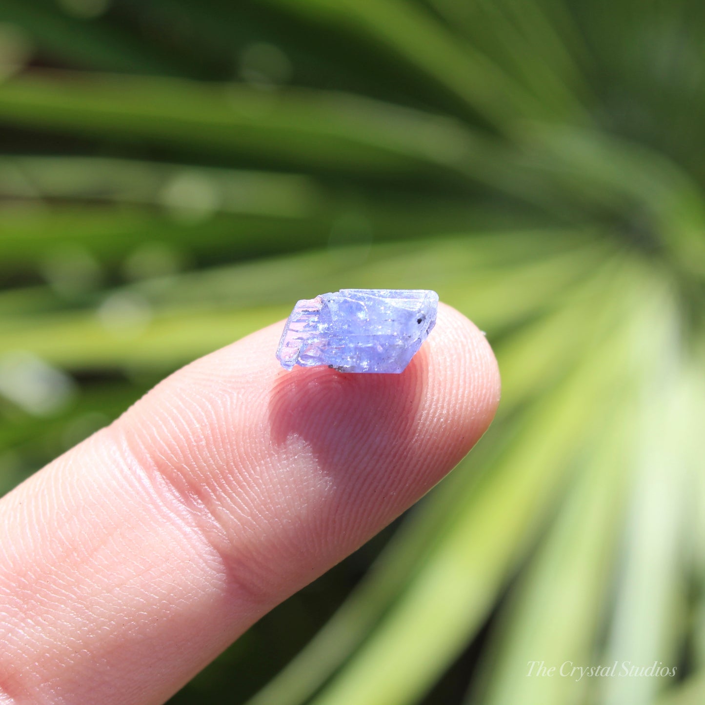 Tanzanite Natural Crystal Specimen