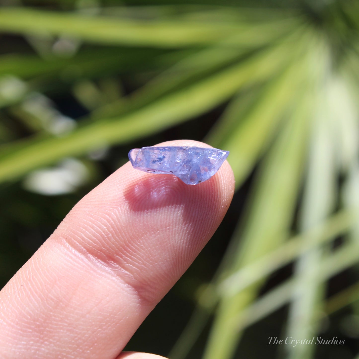 Tanzanite Natural Crystal Specimen