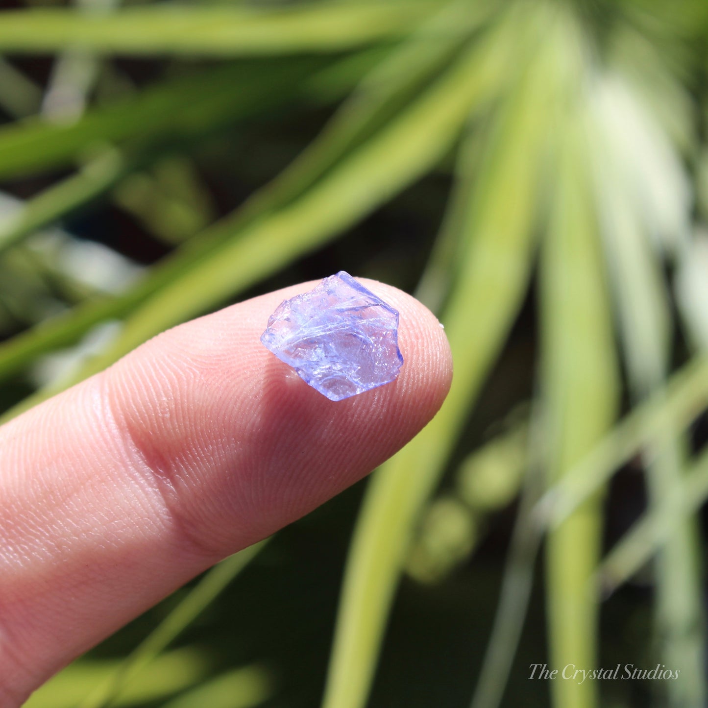 Tanzanite Natural Crystal Specimen