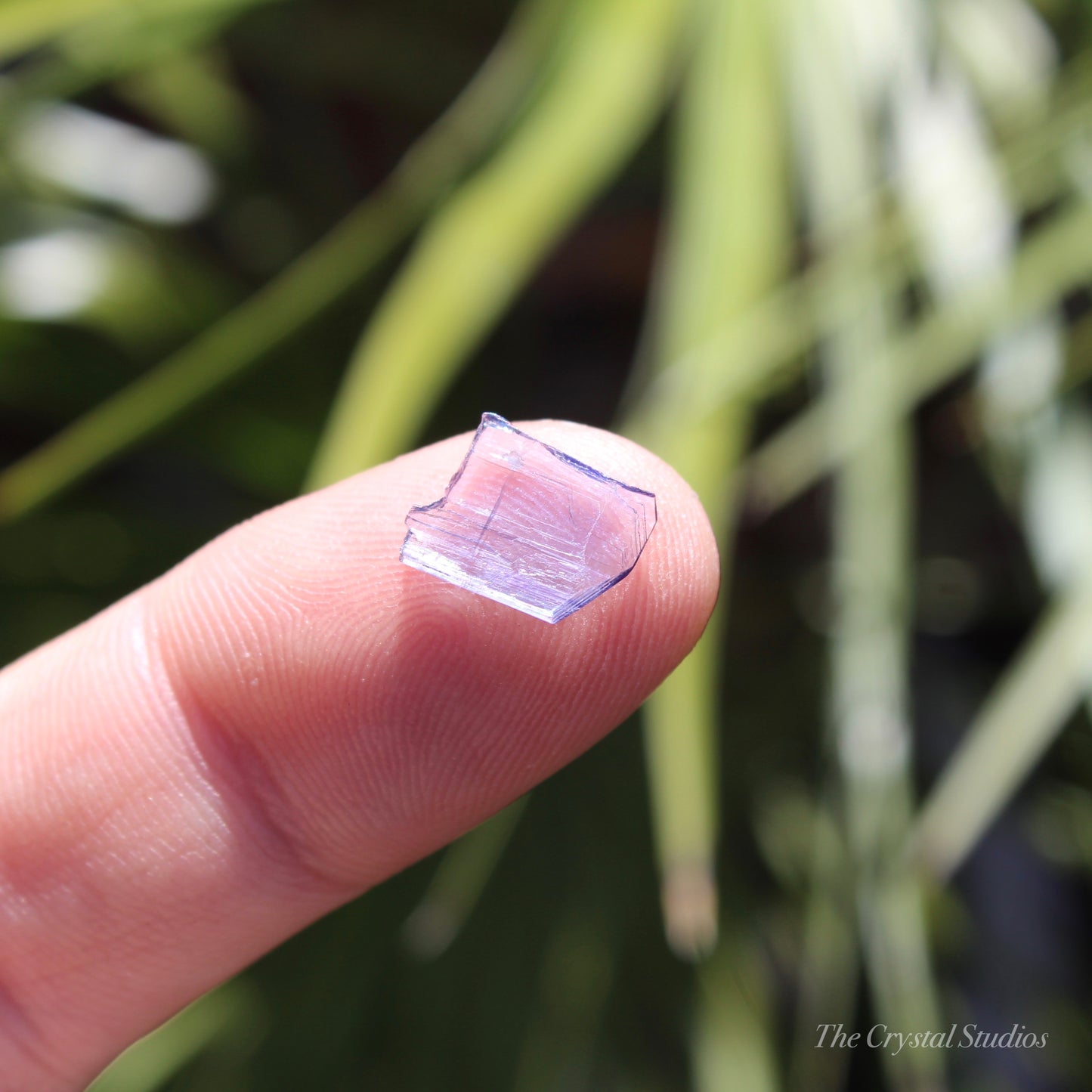 Tanzanite Natural Crystal Specimen