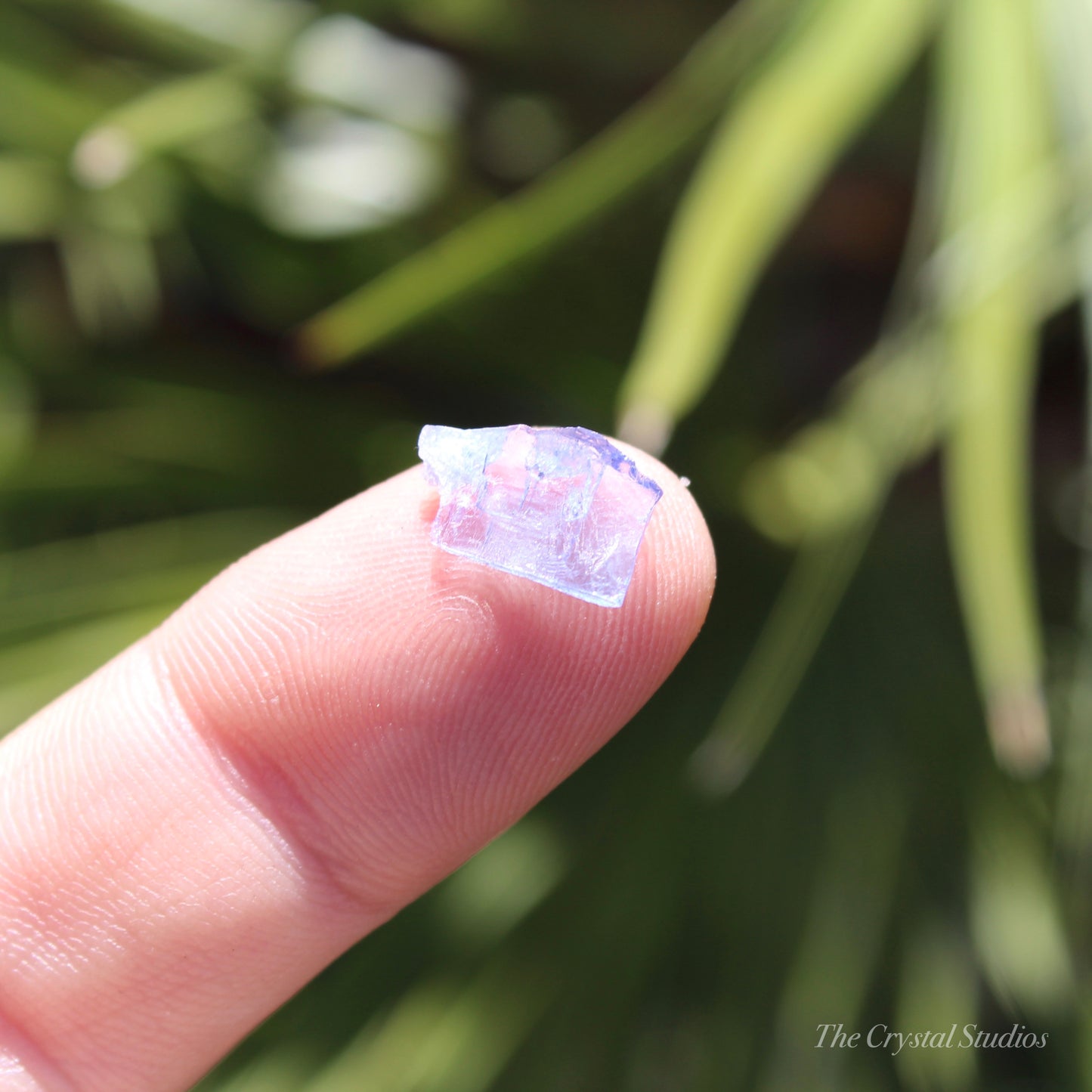 Tanzanite Natural Crystal Specimen