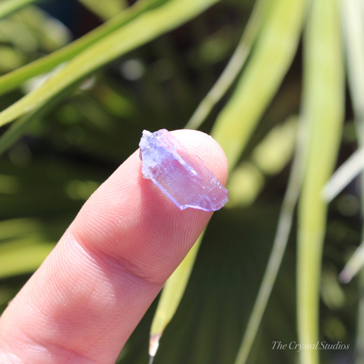 Tanzanite Natural Crystal Specimen