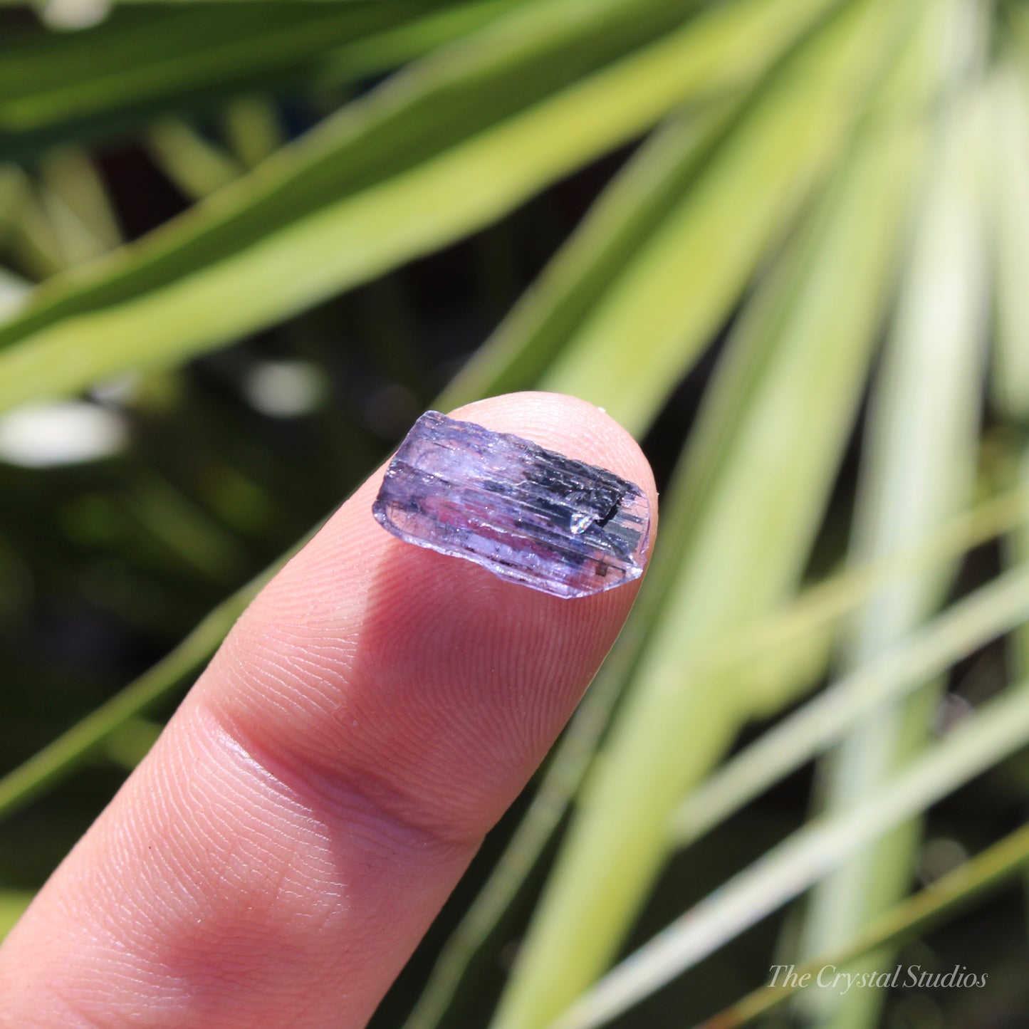 Tanzanite Natural Crystal Specimen