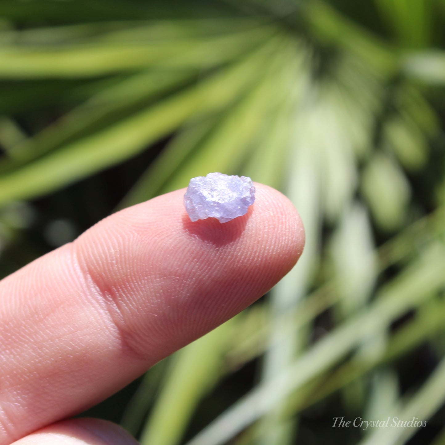 Tanzanite Small Natural Crystal