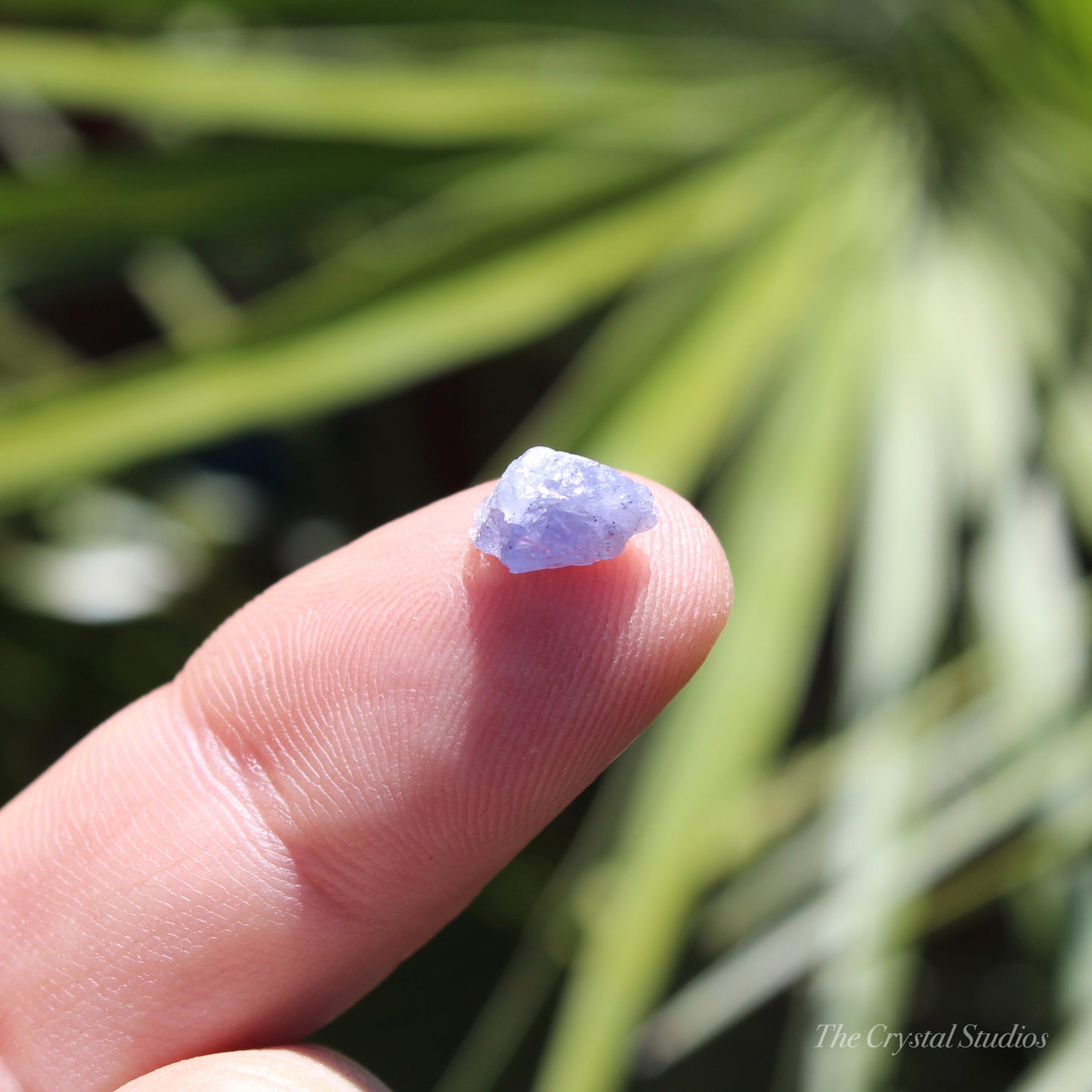 Tanzanite Small Natural Crystal