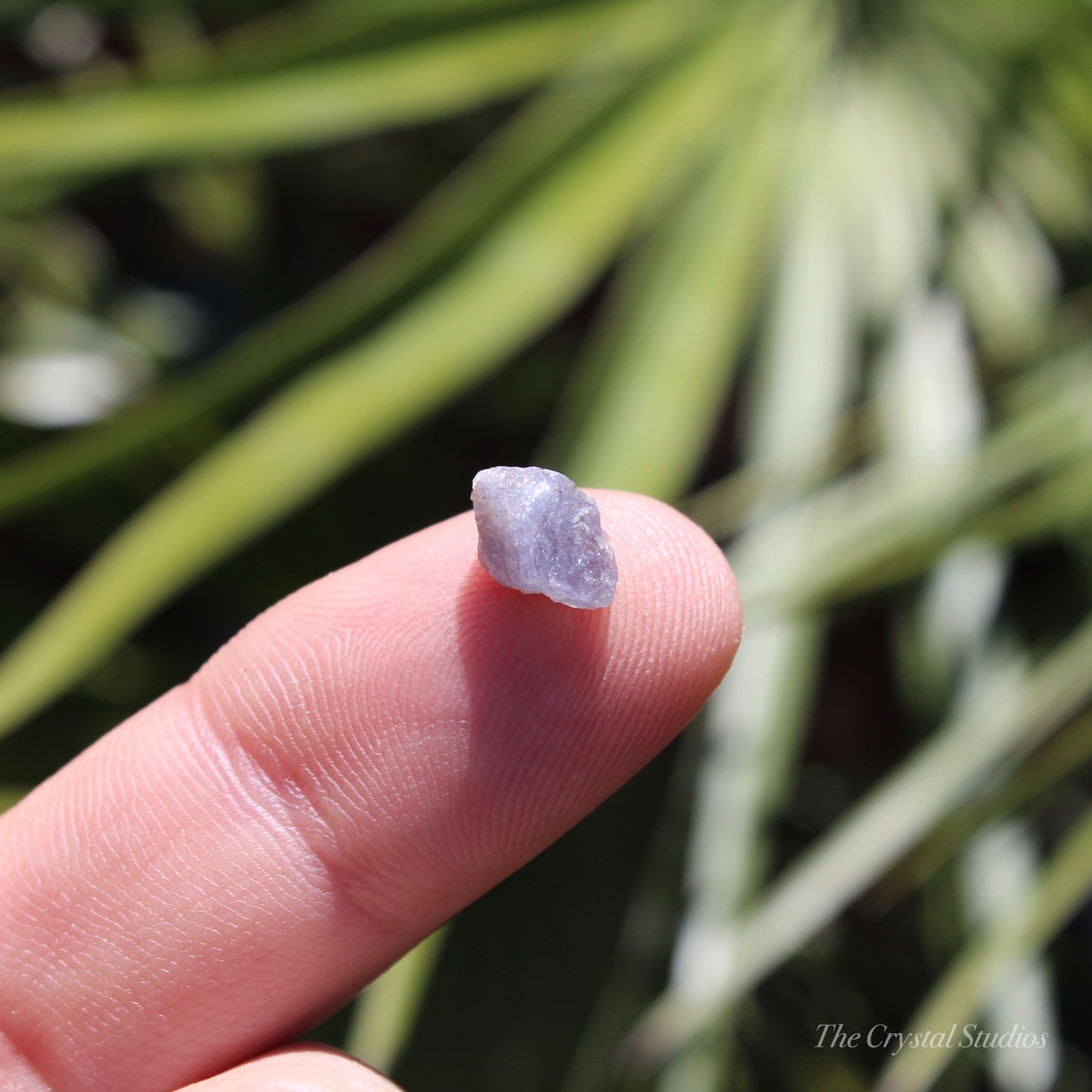 Tanzanite Small Natural Crystal