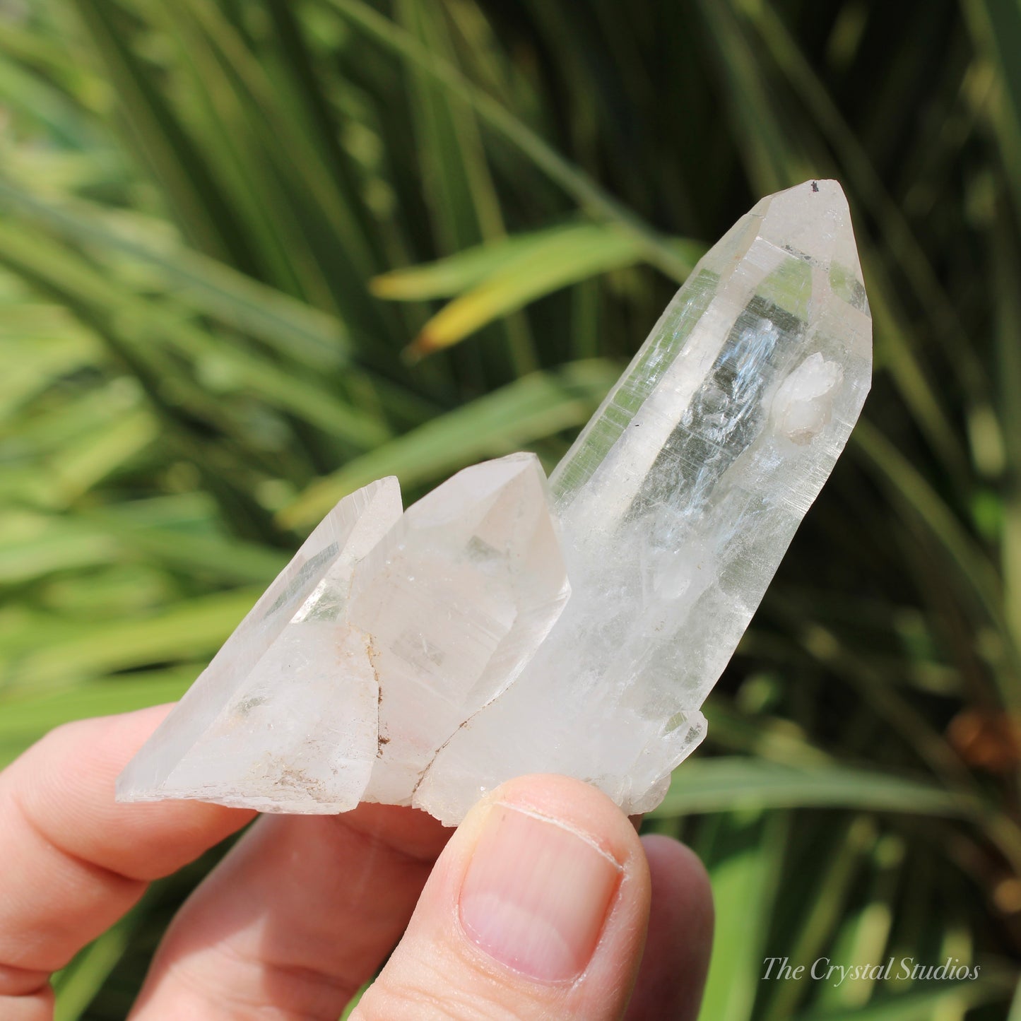 Pink Himalayan Samadhi Quartz Crystal Cluster