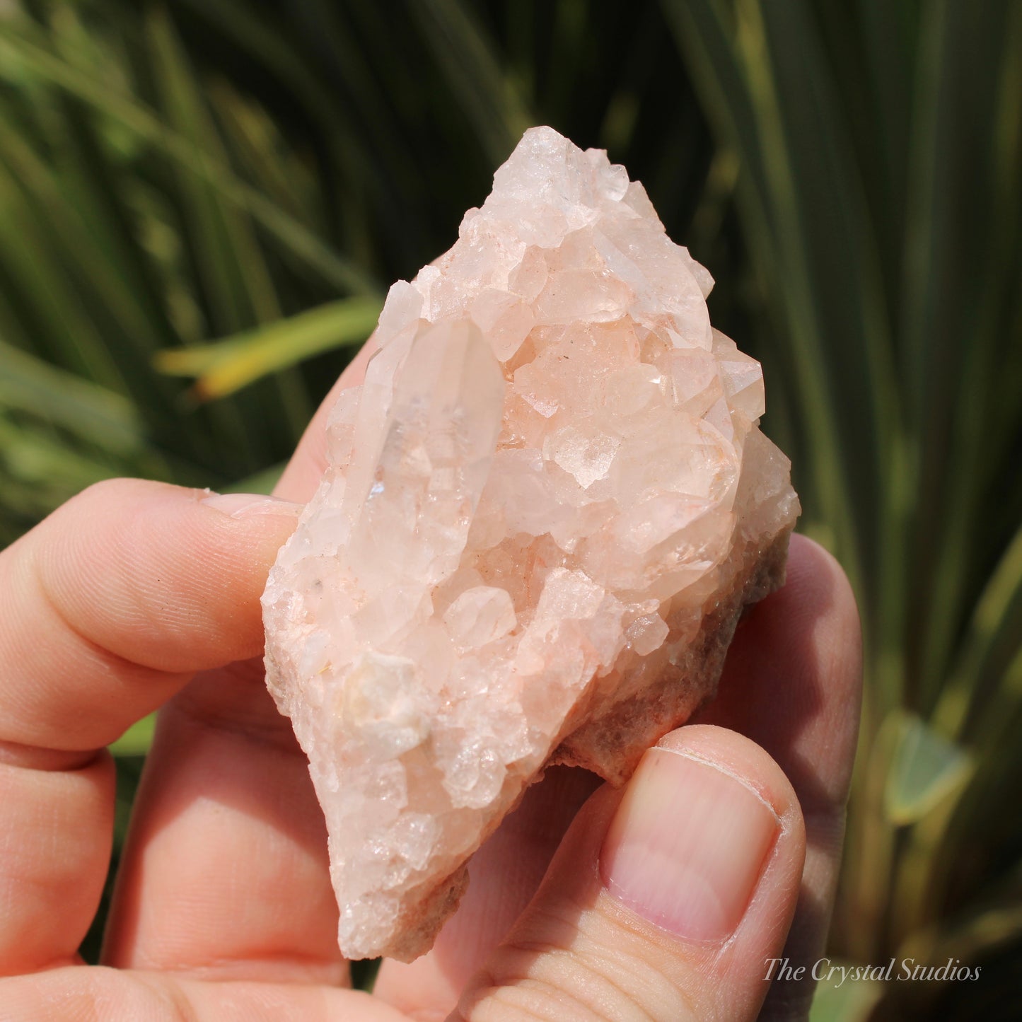 Pink Himalayan Samadhi Quartz Crystal Cluster