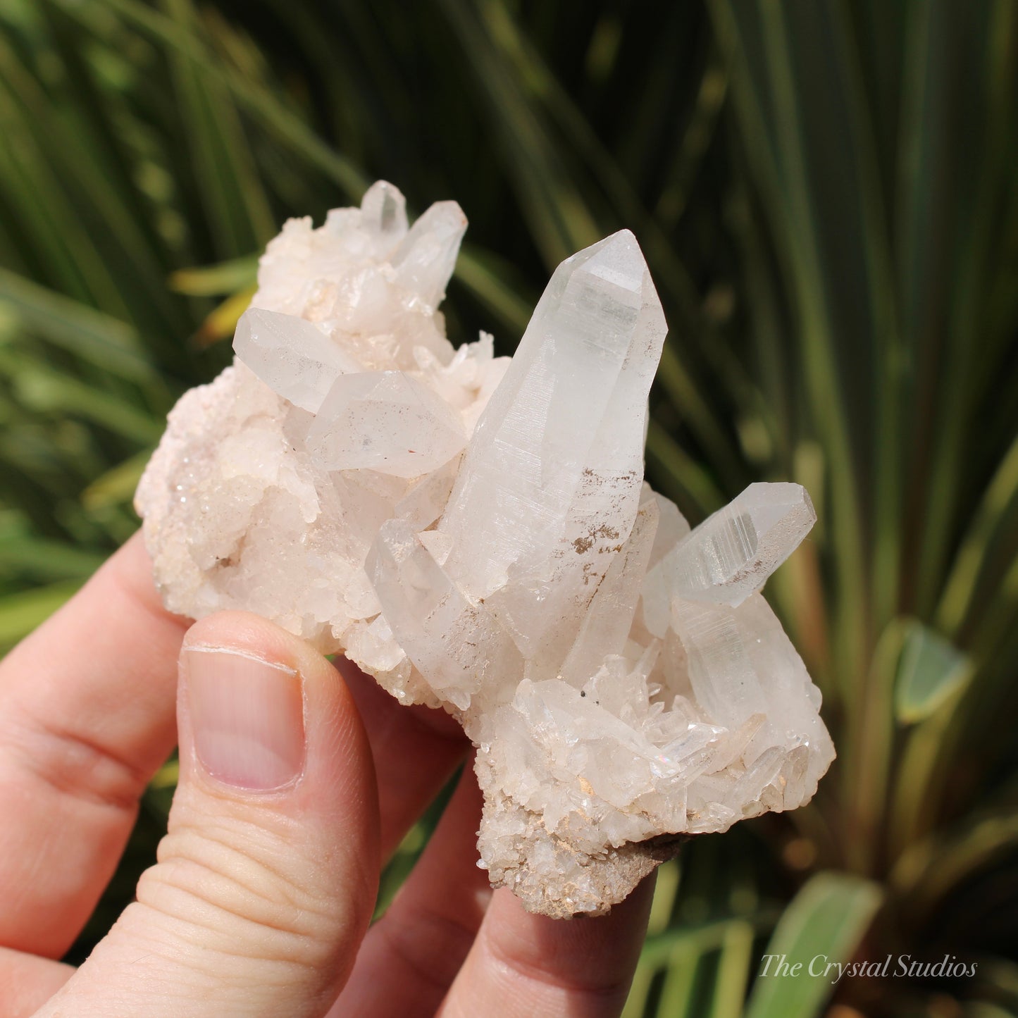 Pink Himalayan Samadhi Quartz Crystal Cluster