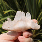 Pink Himalayan Samadhi Quartz Crystal Cluster