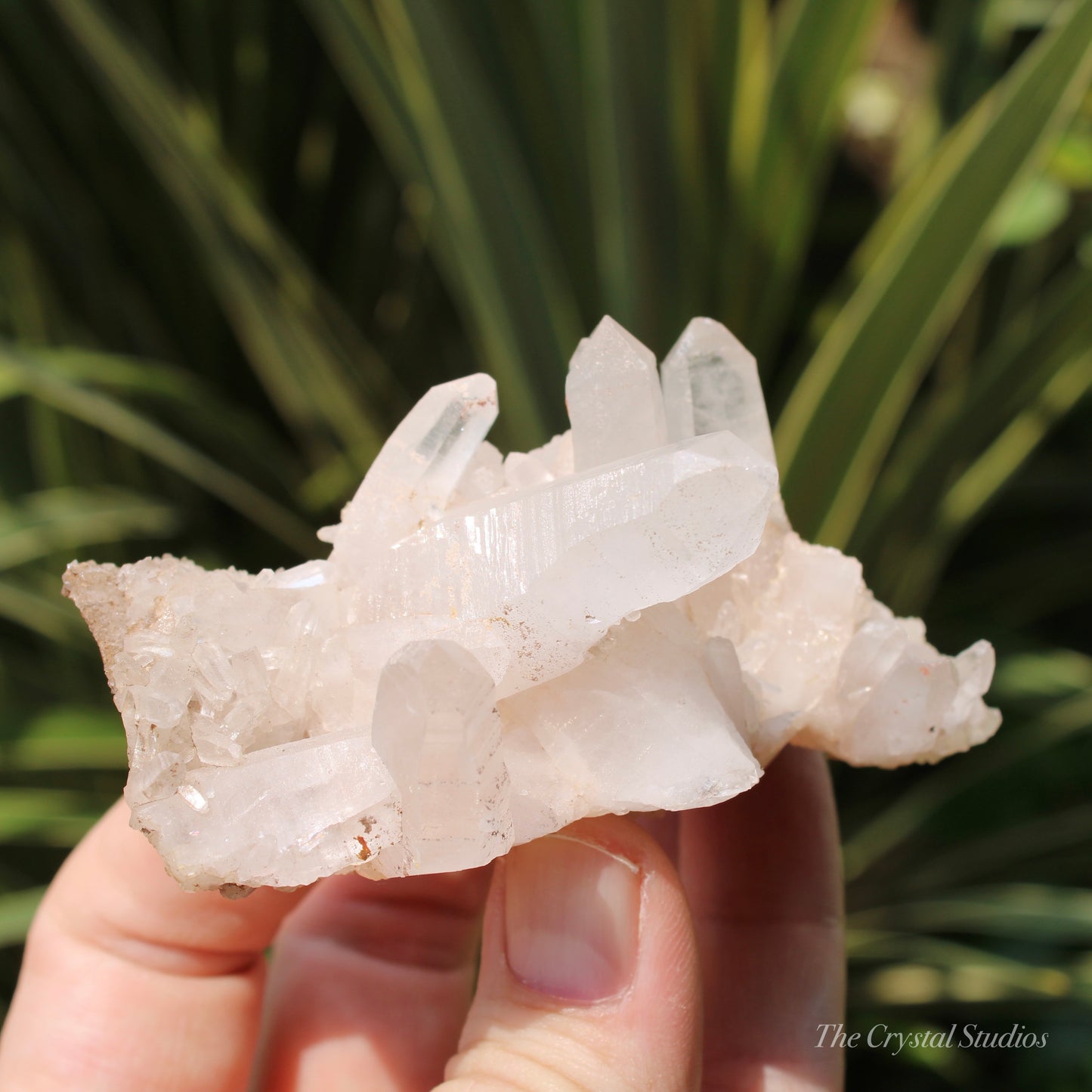 Pink Himalayan Samadhi Quartz Crystal Cluster