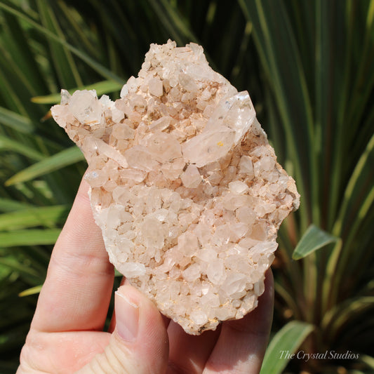 Pink Himalayan Samadhi Quartz Crystal Cluster