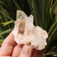 Pink Himalayan Samadhi Quartz Crystal Cluster