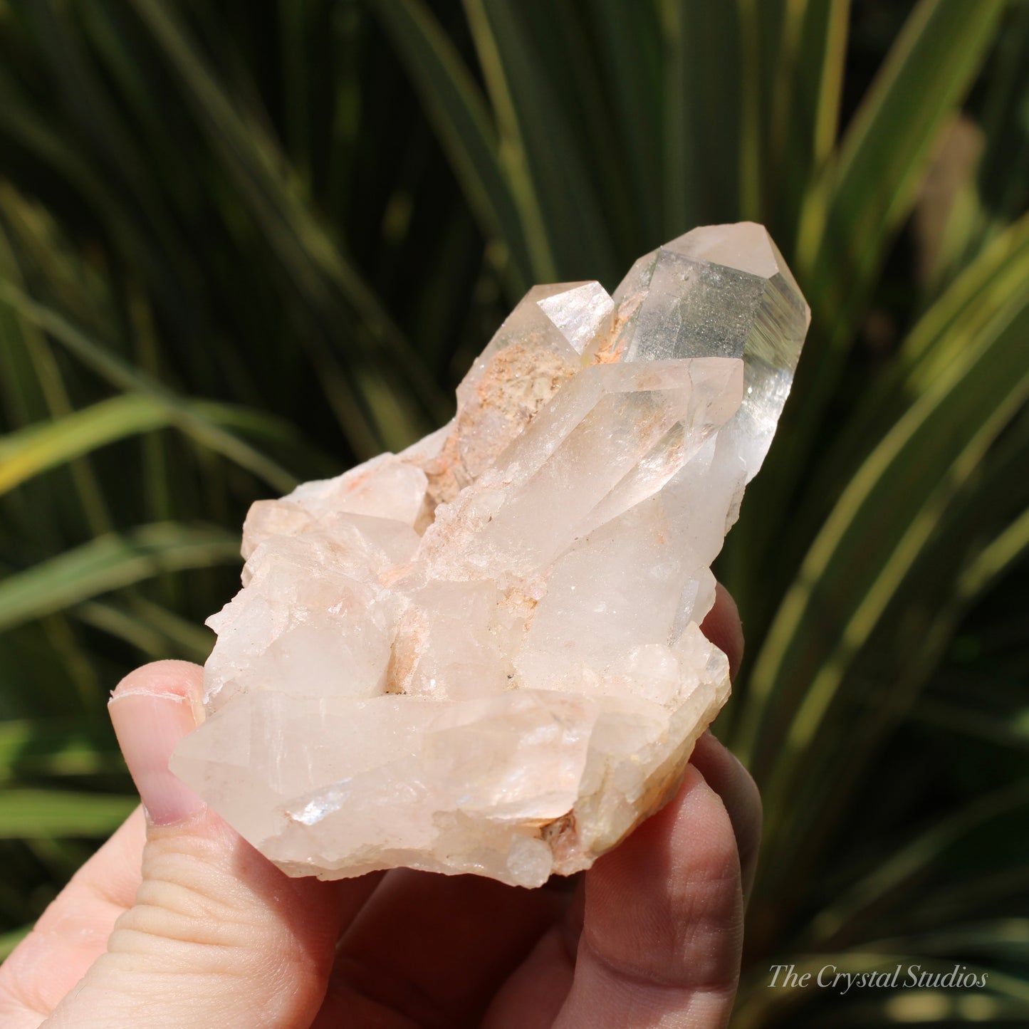 Pink Himalayan Samadhi Quartz Crystal Cluster