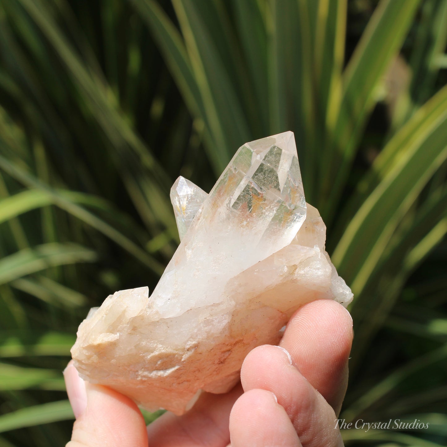 Pink Himalayan Samadhi Quartz Crystal Cluster