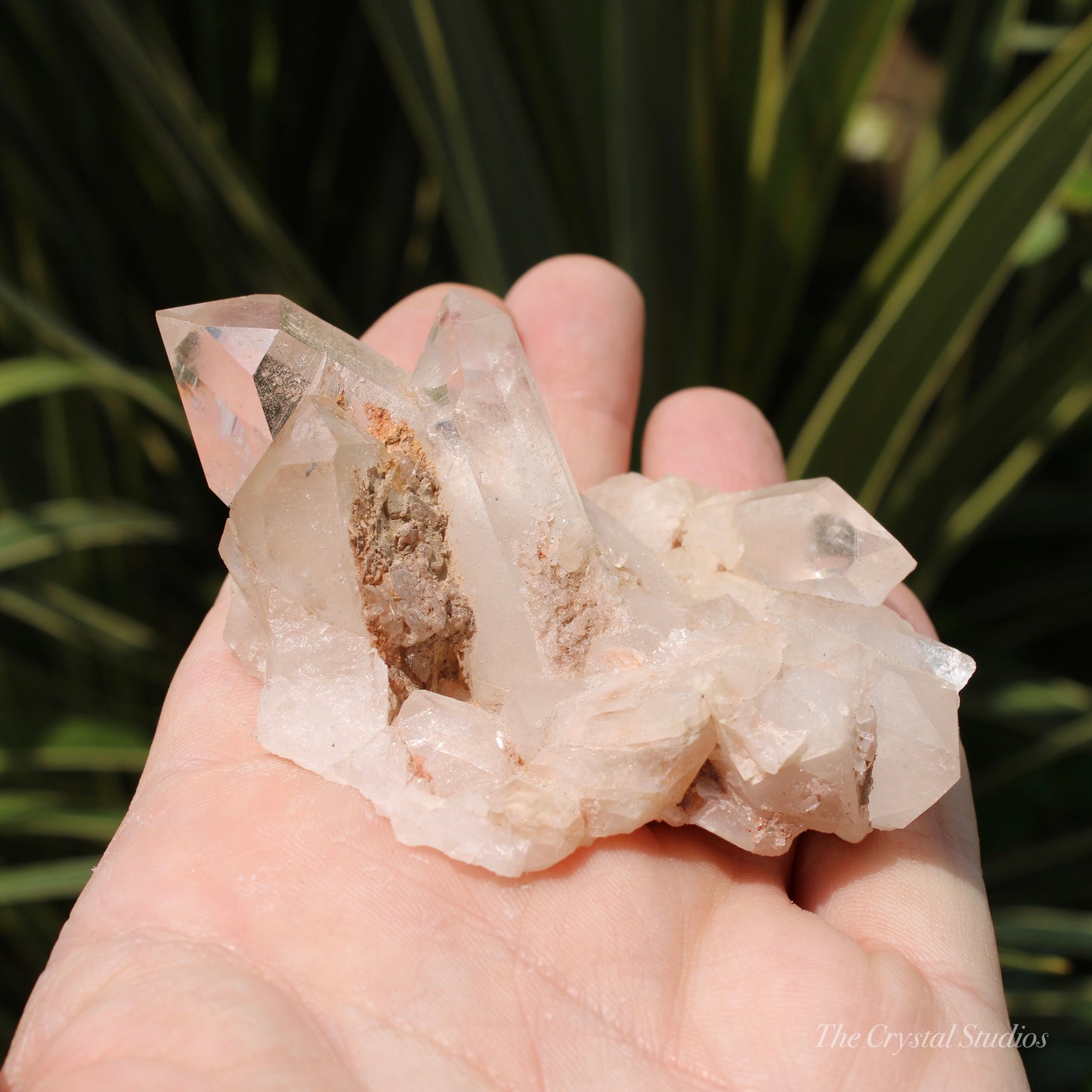 Pink Himalayan Samadhi Quartz Crystal Cluster