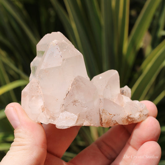 Pink Himalayan Samadhi Quartz Crystal Cluster