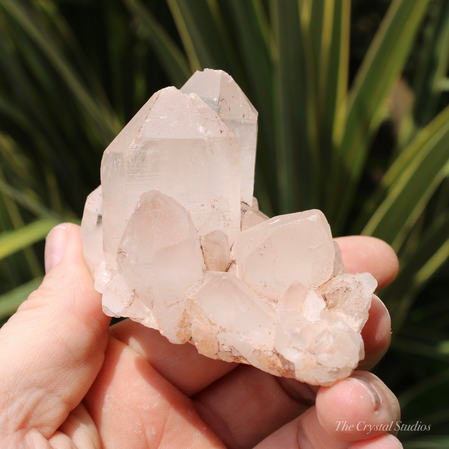 Pink Himalayan Samadhi Quartz Crystal Cluster