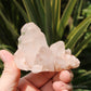 Pink Himalayan Samadhi Quartz Crystal Cluster