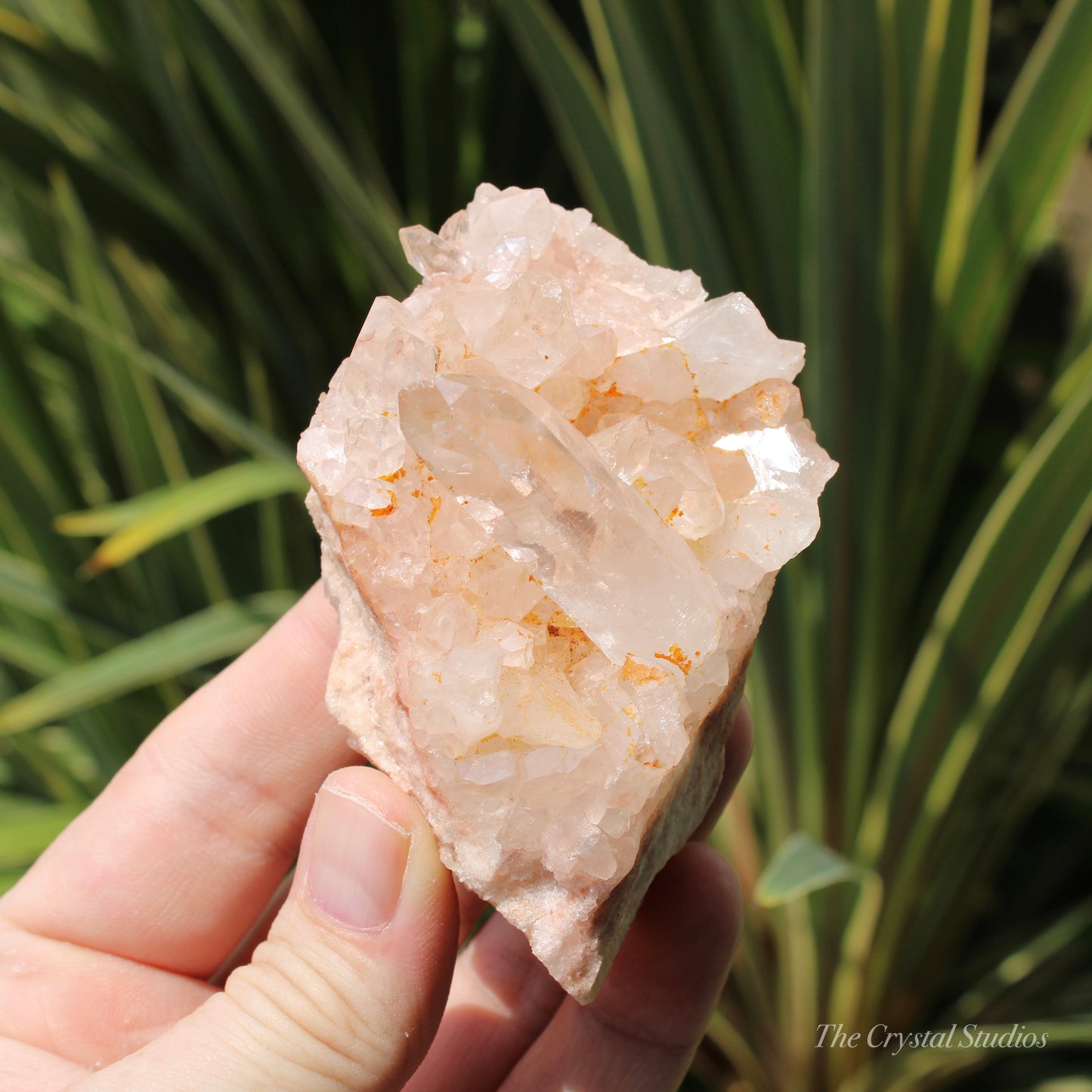 Pink Himalayan Samadhi Quartz Crystal Cluster