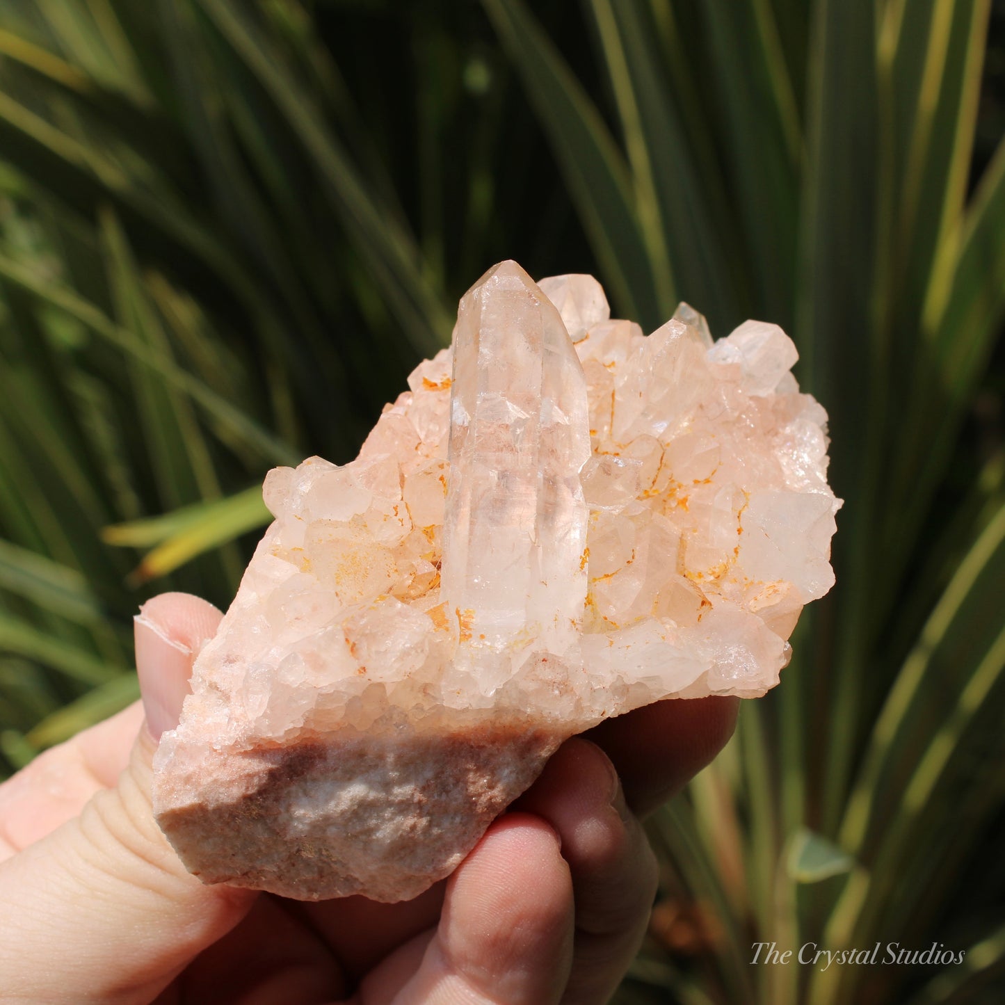 Pink Himalayan Samadhi Quartz Crystal Cluster