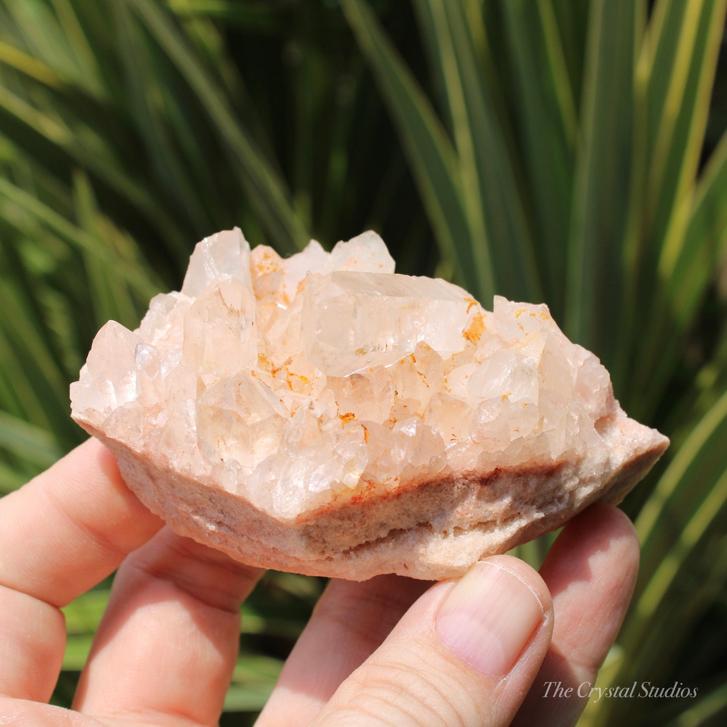 Pink Himalayan Samadhi Quartz Crystal Cluster