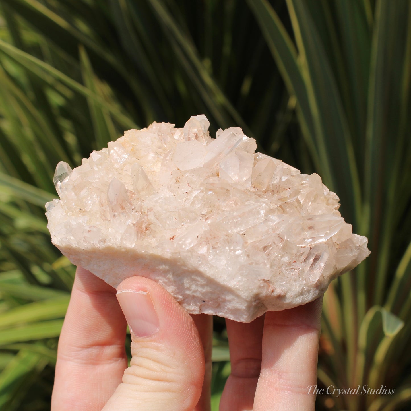 Pink Himalayan Samadhi Quartz Crystal Cluster