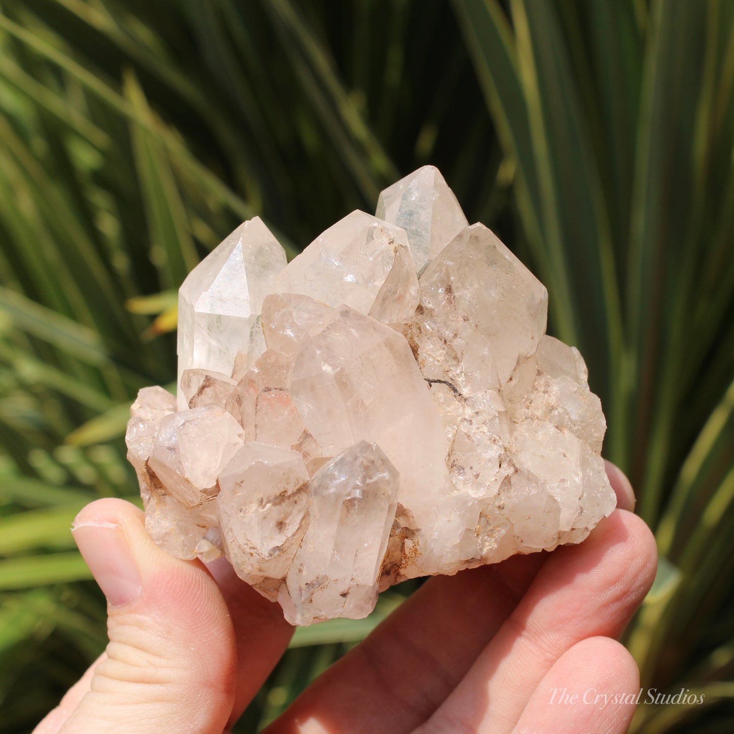 Pink Himalayan Samadhi Quartz Crystal Cluster