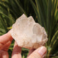 Pink Himalayan Samadhi Quartz Crystal Cluster