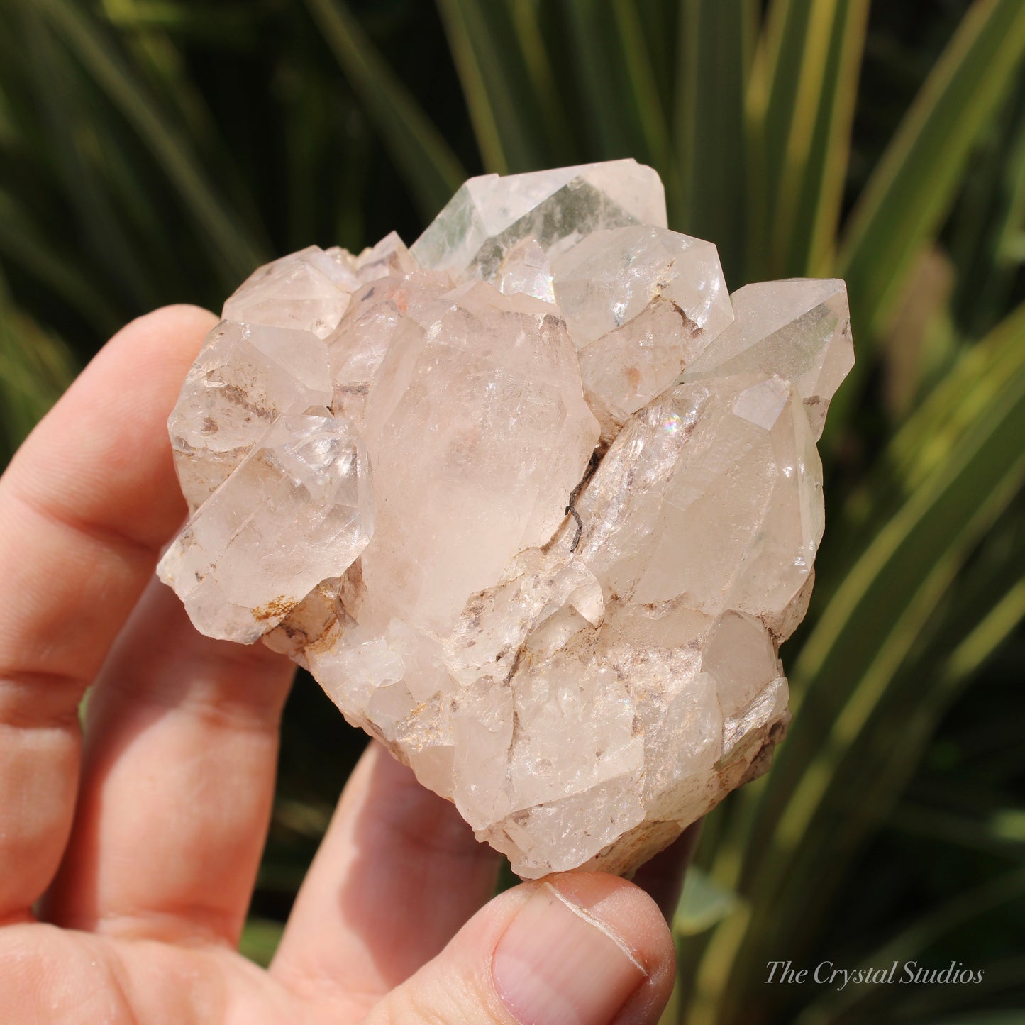 Pink Himalayan Samadhi Quartz Crystal Cluster