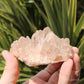 Pink Himalayan Samadhi Quartz Crystal Cluster