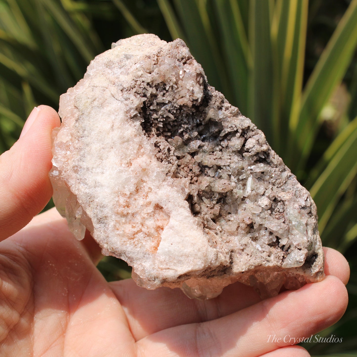 Pink Himalayan Samadhi Quartz Crystal Cluster