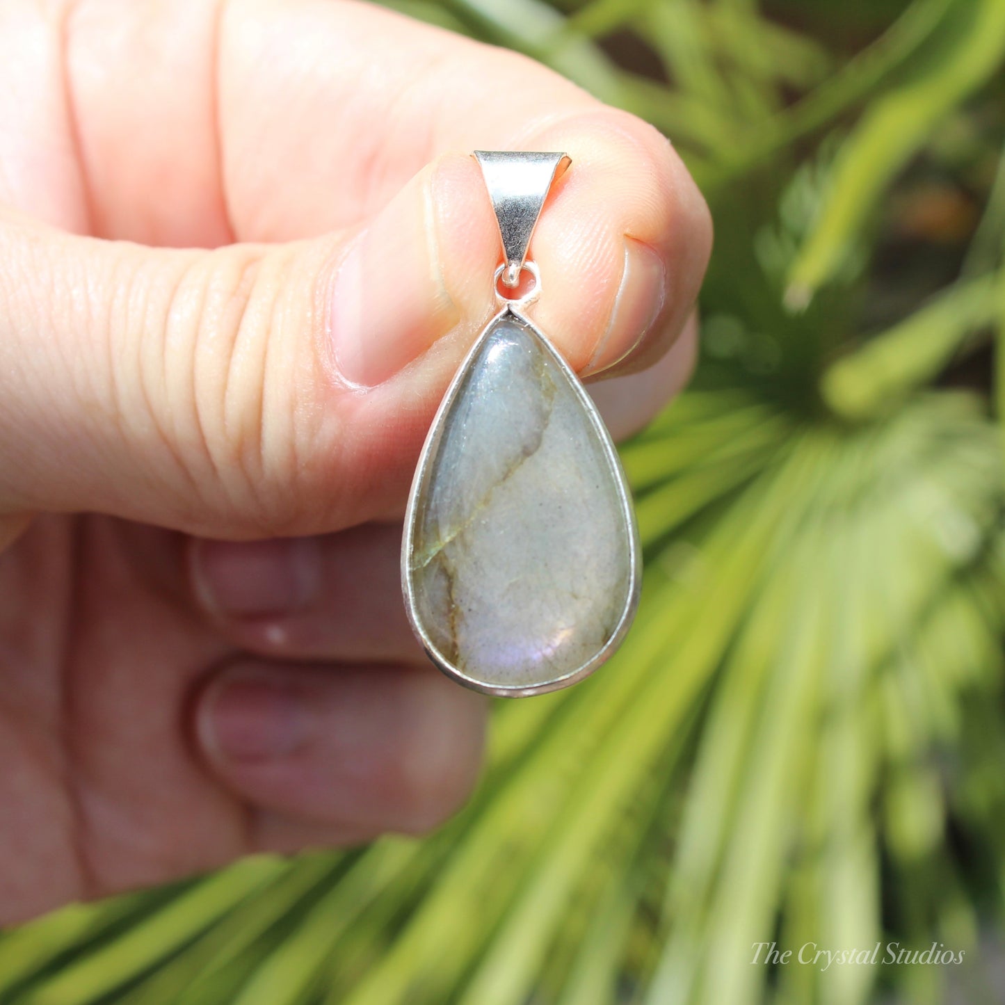 Labradorite Silver Plated Classic Pendant