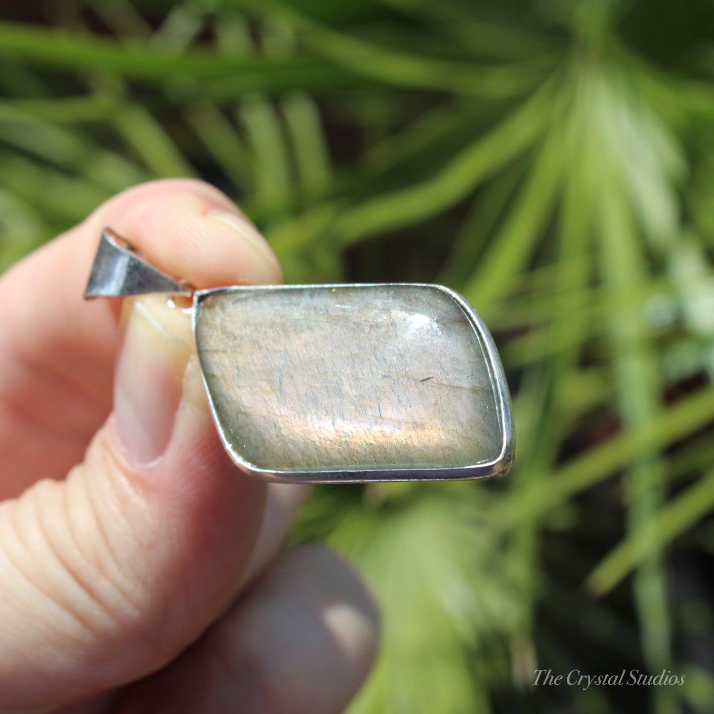 Labradorite Silver Plated Classic Pendant