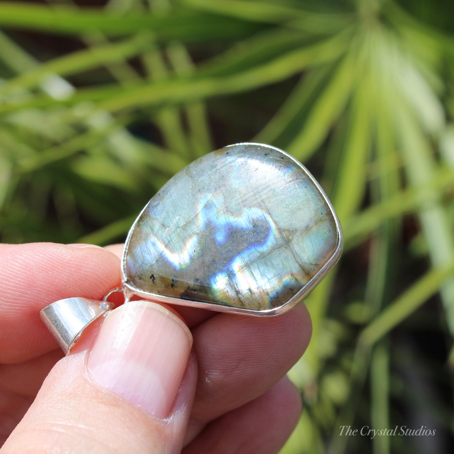 Labradorite Silver Plated Classic Pendant