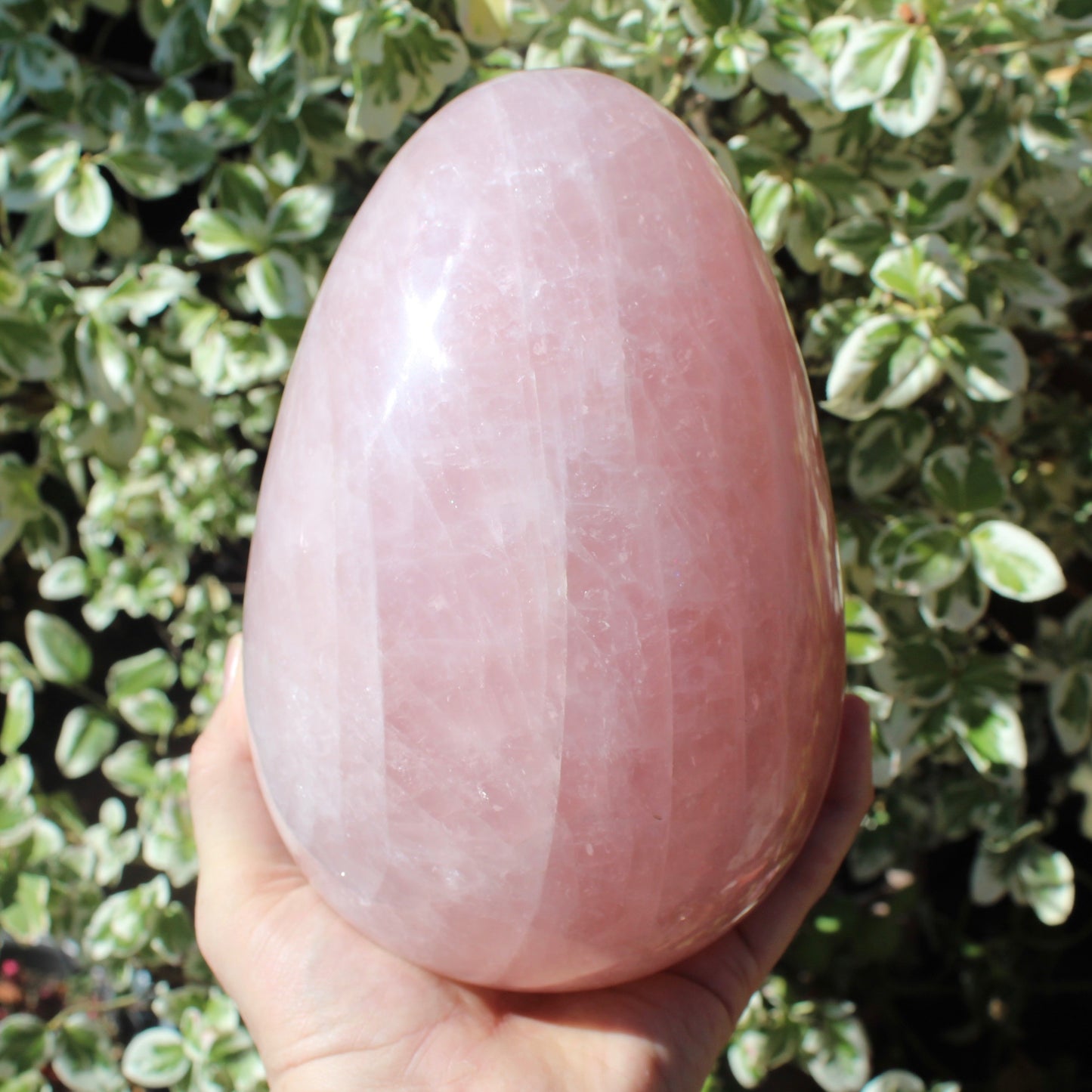 Rose Quartz XXL Polished Crystal Egg