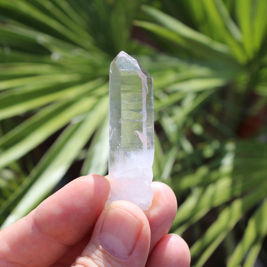 Clear Quartz Natural Small Crystal Point