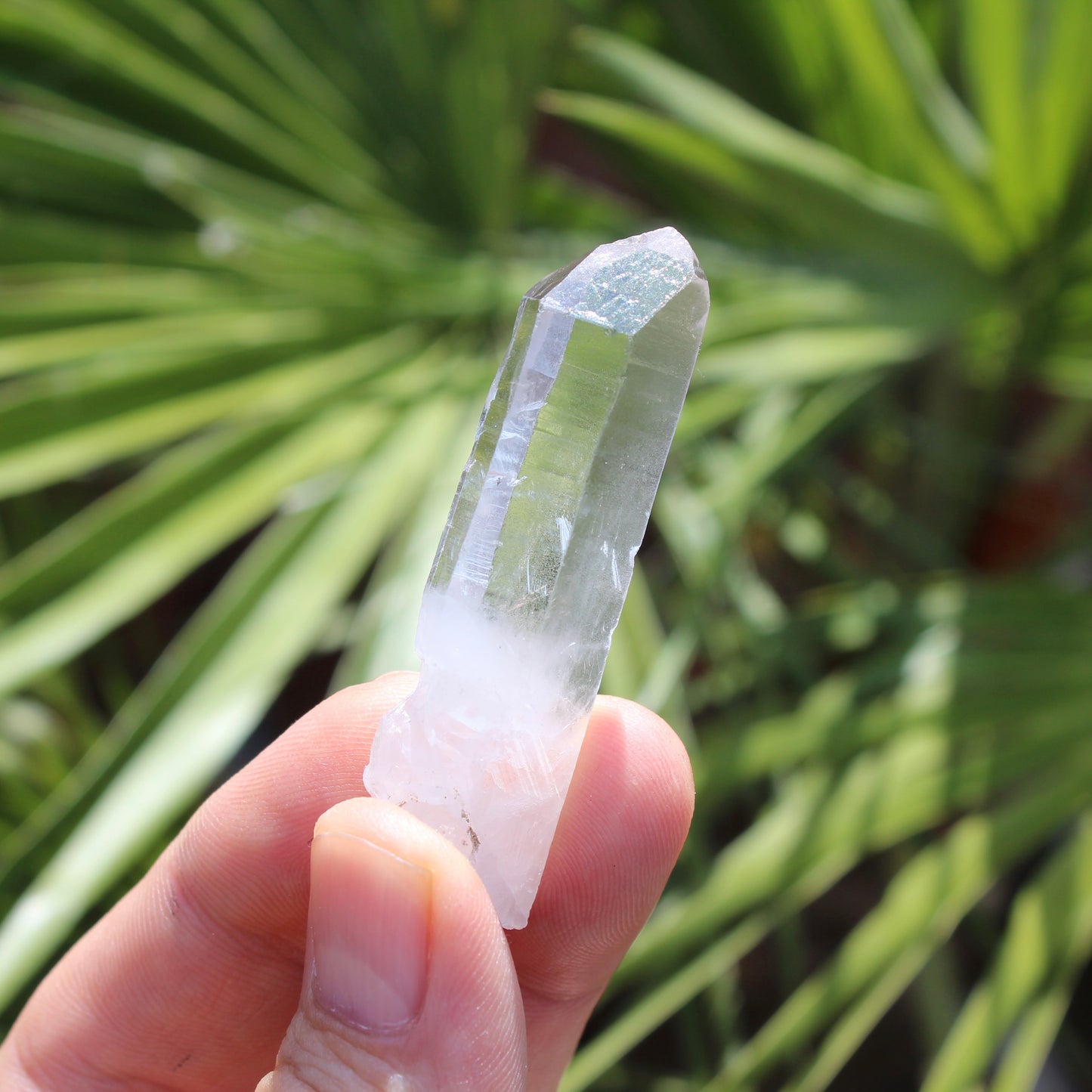 Clear Quartz Natural Small Crystal Point